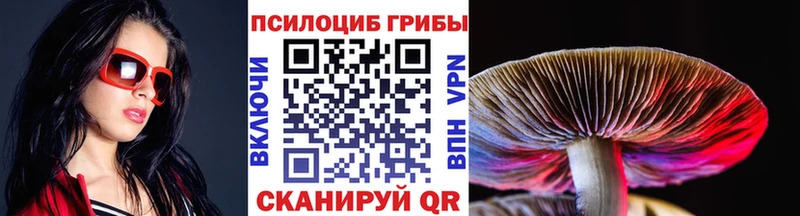 Псилоцибиновые грибы ЛСД  OMG маркетплейс  Верея 